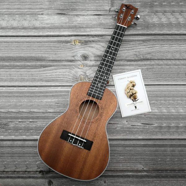 23 Inch Concert Ukulele Mahogany Wood White Binding Free Bag While