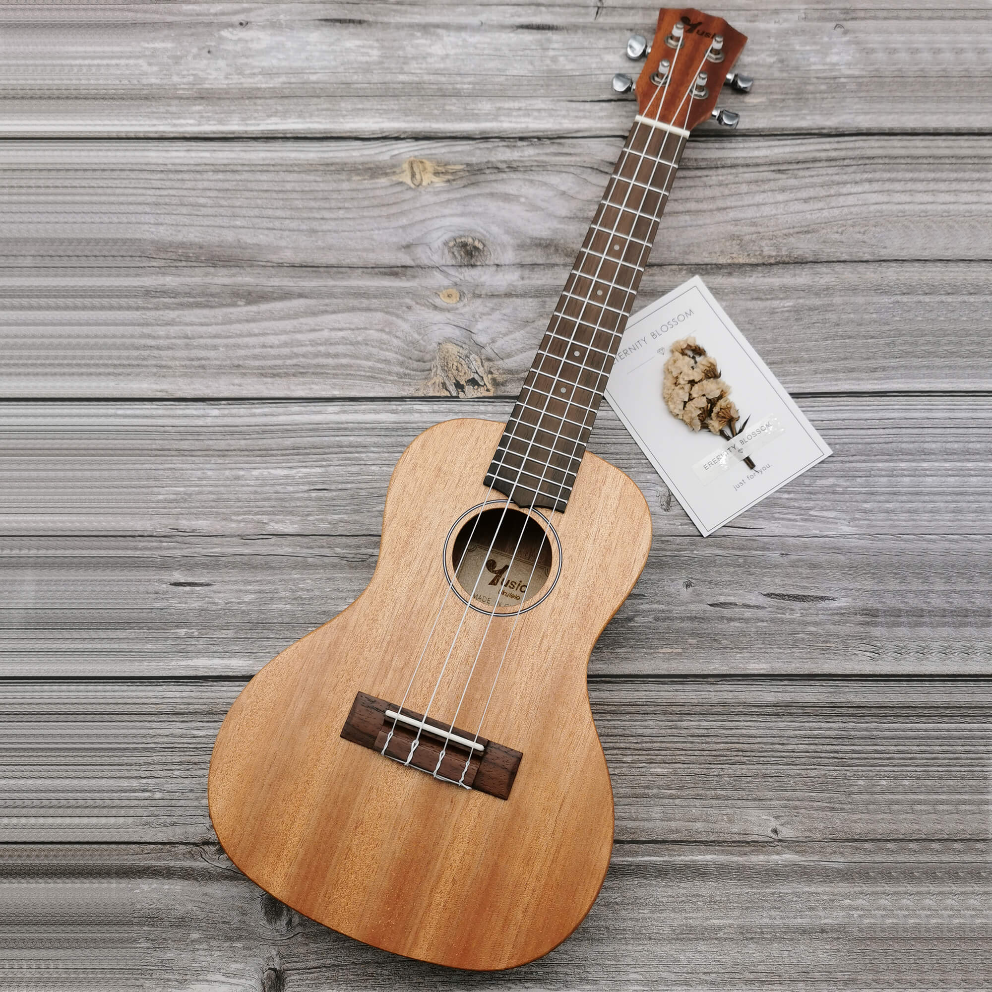 23 Inch Concert Ukulele (Solid Top Mahogany Wood) Free Bag While Stock ...