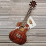 Ukulele Concert Solid Top Mahogany Gloss Brown