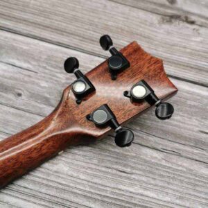 Ukulele Concert Solid Top Mahogany Gloss Brown