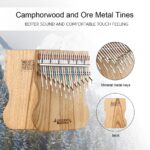 Gecko K24CAP kalimba